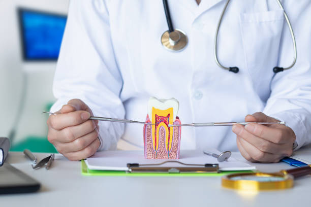 Best Emergency Denture Repair in Jackson, MO